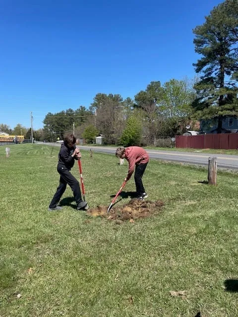 Two students digging a hole for a young tree on the school front lawn under a clear sky